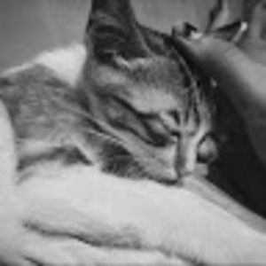 Meet your Posher, Thea